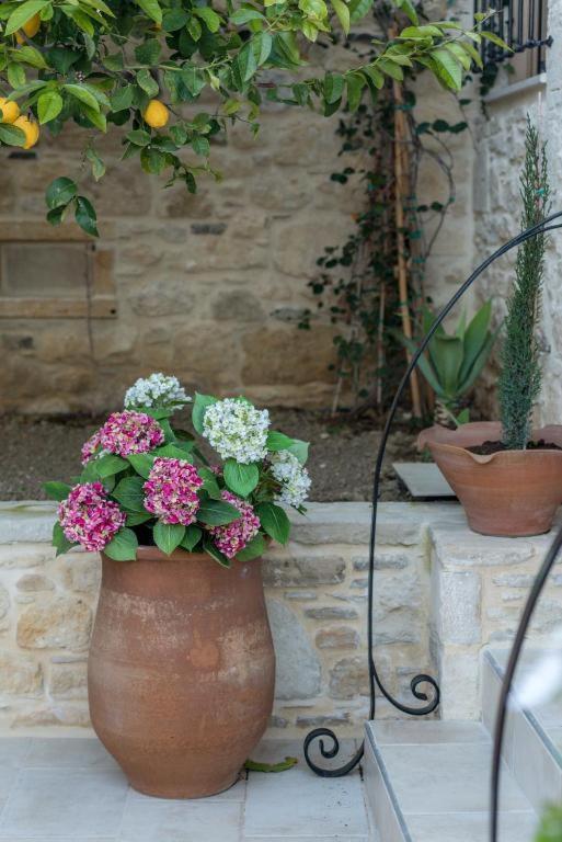 Cretan Rhapsody - Rustick Villa In Siva Sívas 外观 照片